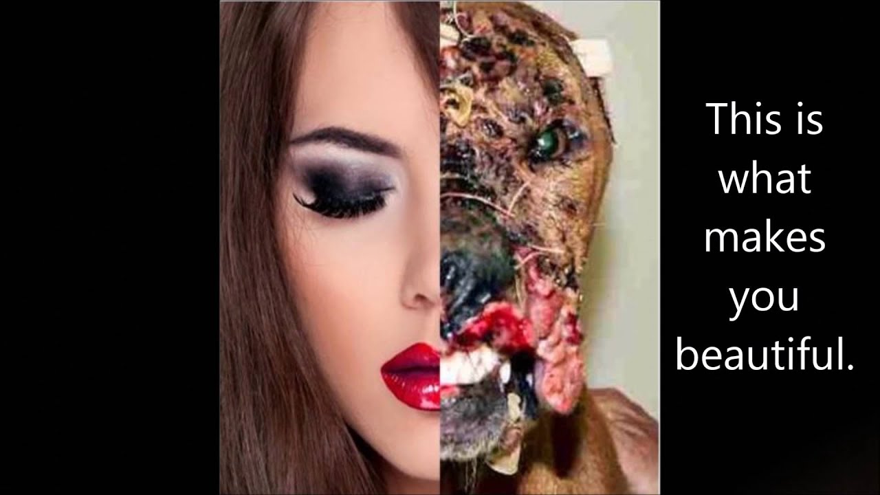 Animal Testing Campaign V3