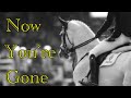 Now You&#39;re Gone || Equestrian Music Video ||