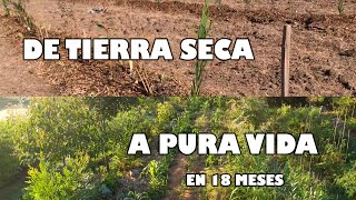 Regenerando Abundancia  Bosque Sintrópico de Alimentos Ayllu, 18 Meses, Permacultura & Sintropia UY