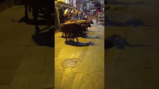 #torosdecorro #toros  #cascante #navarra #españa #fiestas