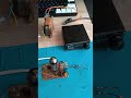 Mój stary nadajnik CW na lampie elektronowej gu-17. #hamradio #elektronika #radio #vacuumtechnology