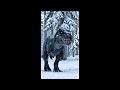 T-rex searching for food during an ice age blizzard. (AI generated)