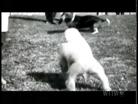 Snowflake as a child