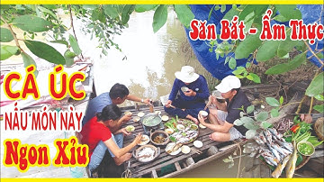 Trúng Bầy Cá Úc Mập Ú Nấu Canh Chua Trái Bần | Đam Mê Miền Tây #91