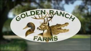 Clickers – The Golden Ranch