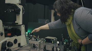 W&M Research: Tracking ‘Fugitive Pigments’ Through Chemistry