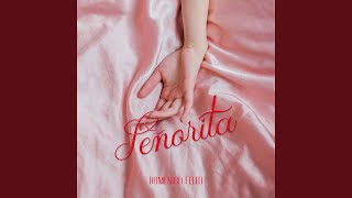 Download Lagu Señorita