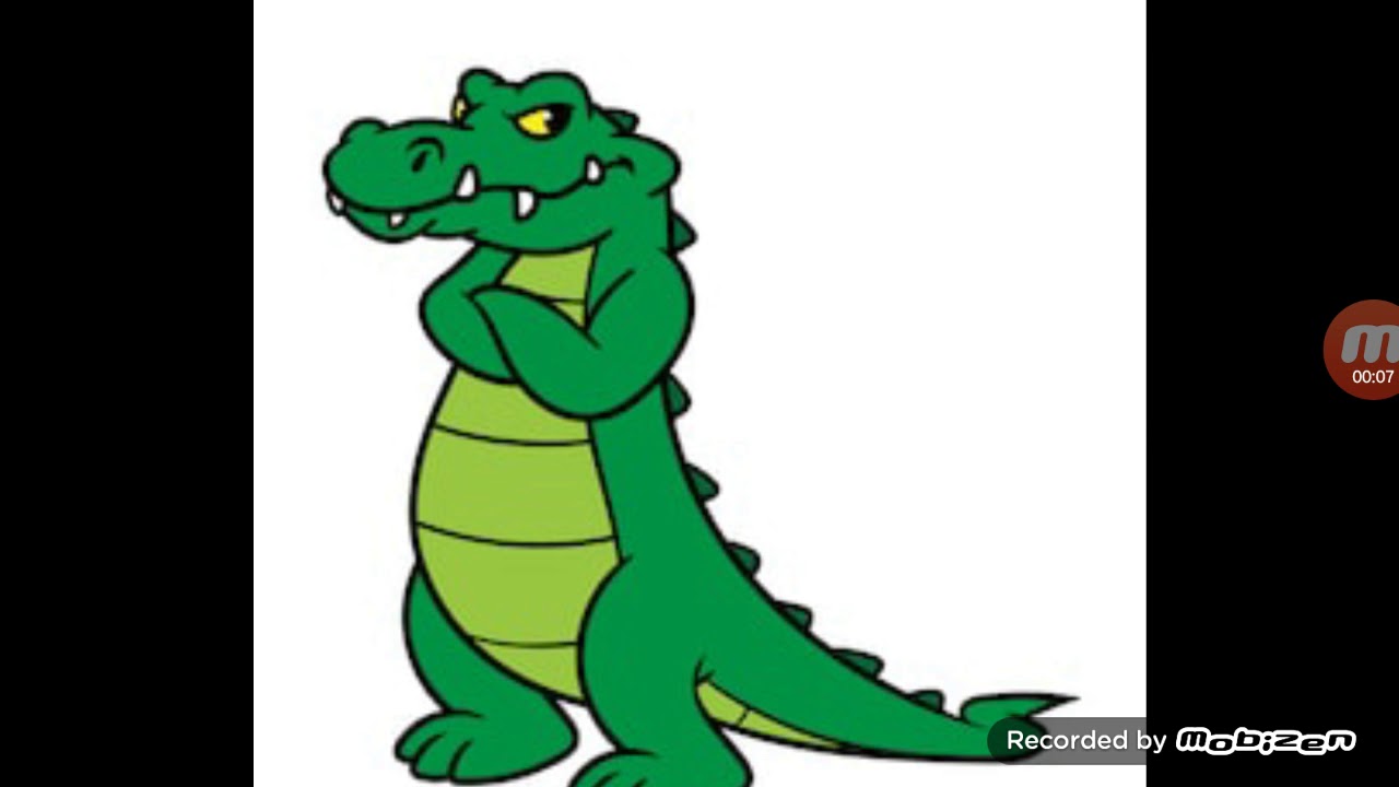 The origin story of the Snappy Gator Channel