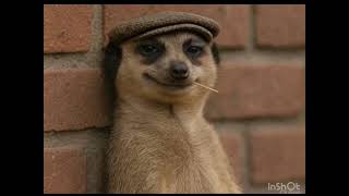 No Turning Back Ii  Gaise Baba  Amapiano Remix  Dj Romeo