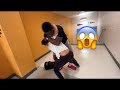 We run this schoolfunniest vlog fight broke out not clickbait