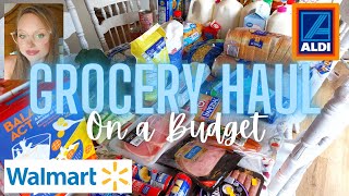LARGE FAMILY GROCERY HAUL on a Budget WITH PRICES  | WALMART & ALDI HAUL | MEAL PLAN
