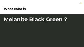 Melanite Black Green color #282e27 hex color - Green color - Warm color 282e27