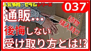 植物複数購入の方へ When purchasing plants, succulents, and flower seedlings online