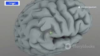Famous Mind Reading Tech Is Here : AI's Spreading Rapidly! Wealth