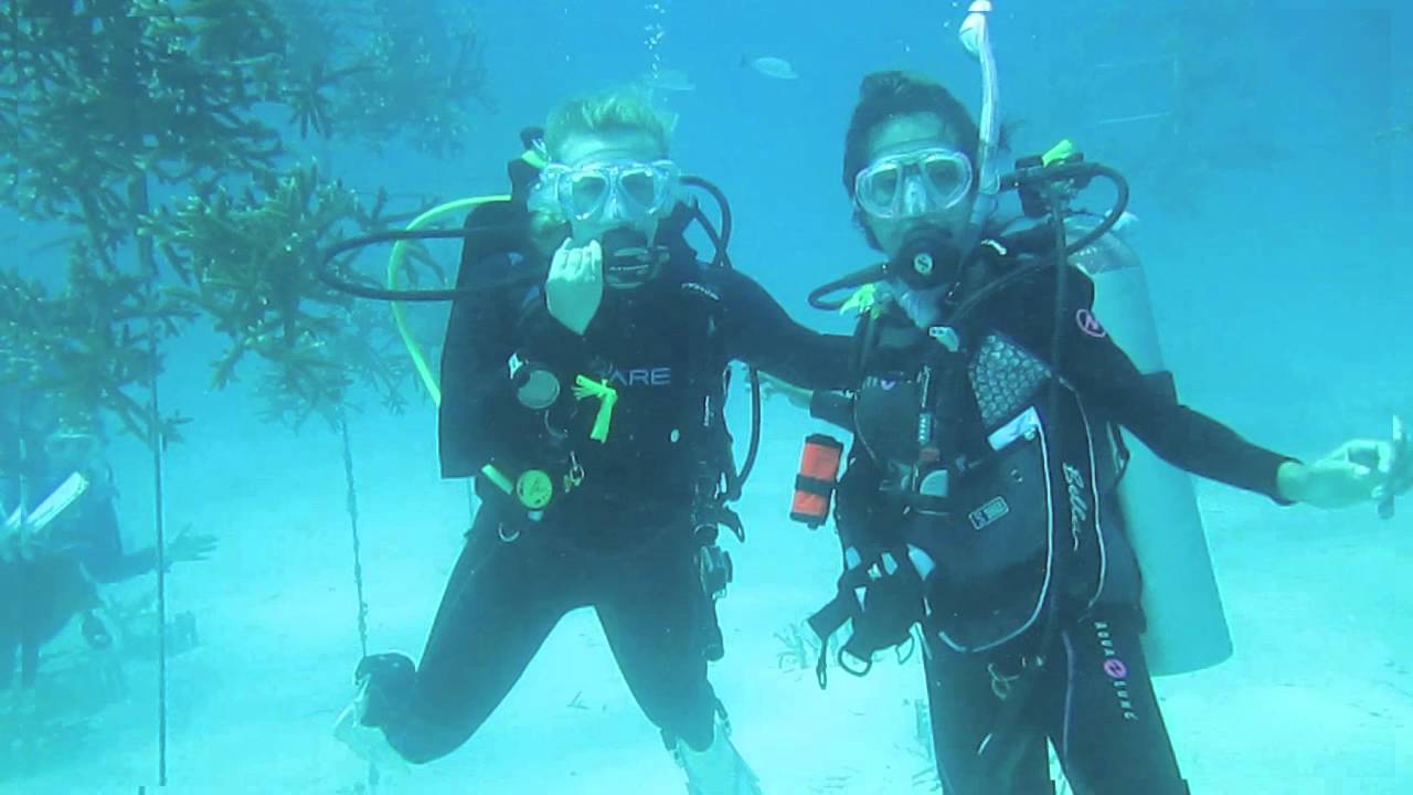 TBGC Coral Restoration Trip