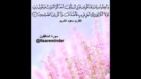 قرآءة الشيخ سعود الشريم سورة المنافقون