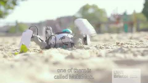 26 years old World highest paid robotics, ( Silas Adekunle)