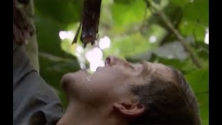 ジャングルで飲水を見つける方法 | サバイバルゲーム #ディスカバリーチャンネル