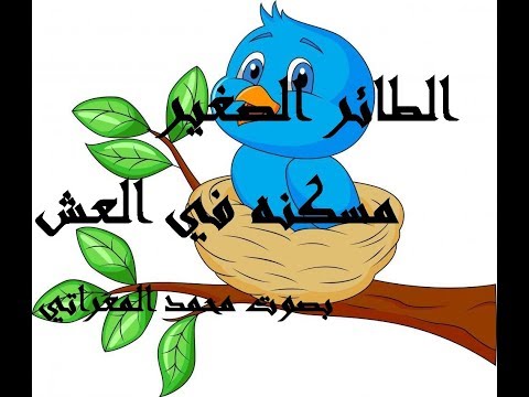 الطائر الصغير مسكنه في العش 