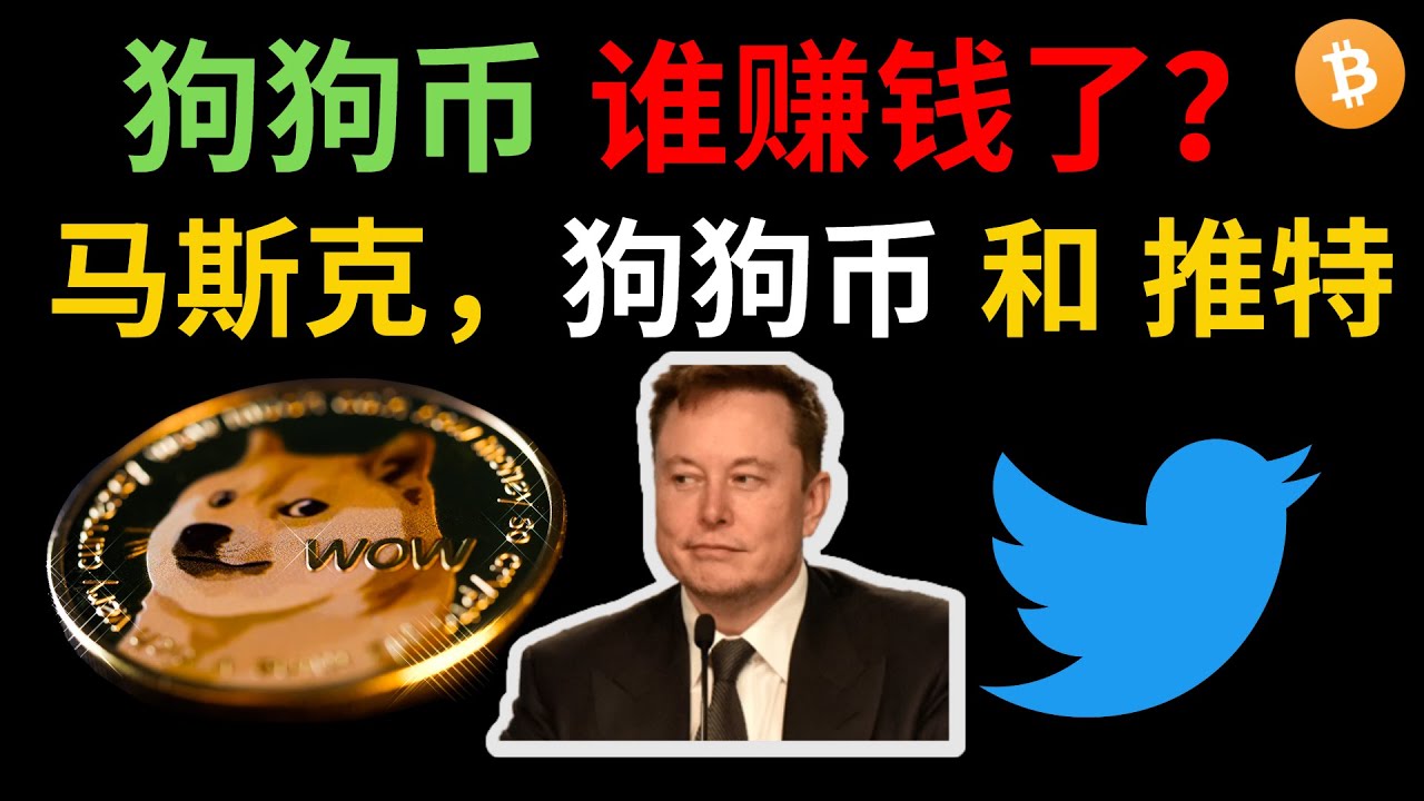 狗狗币谁赚钱了？—马斯克，狗狗币和推特#狗狗币#dogecoin#马斯克#elonmask#doge#狗狗币分析