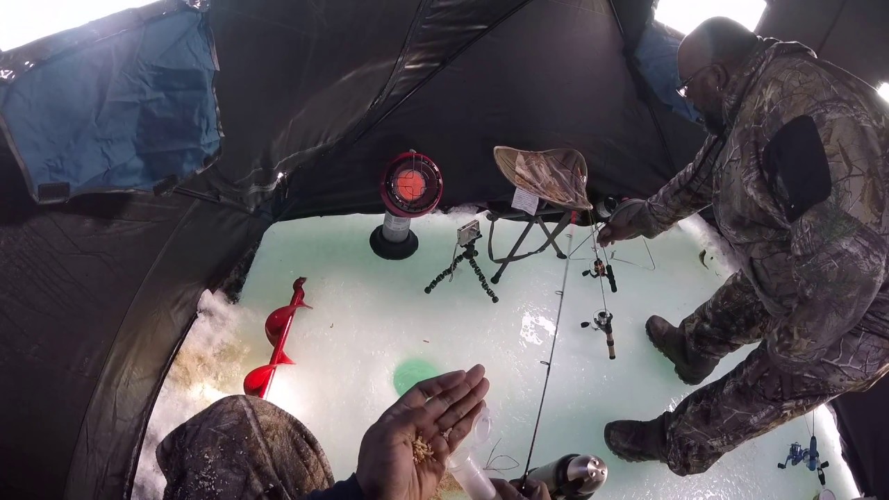 Ice fishing for perch at the buffalo small boat harbor using tungsten