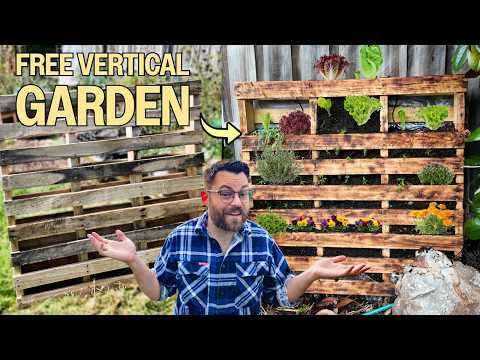 Turning A FREE Wooden Pallet Into A Veggie Wall