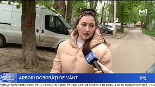 Chișinău: Arbori doborâți peste un troleibuz cu pasageri și pe un teren de joacă
