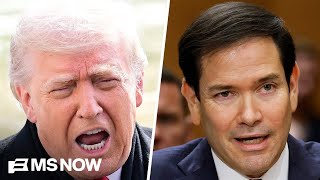 Senator Rubio Wouldve Called Out Trumps Outrageous Greenland Comments Dem Sen.