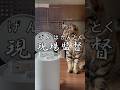 現場監督　#cat #保護猫 #ねこ　#現場監督