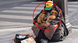 Part 2 - Stray Dogs Visit the Same Homeless Beggar Every Day