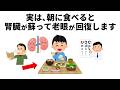 【朝が最強】腎臓が蘇り老眼と髪が若返る朝の食べ物
