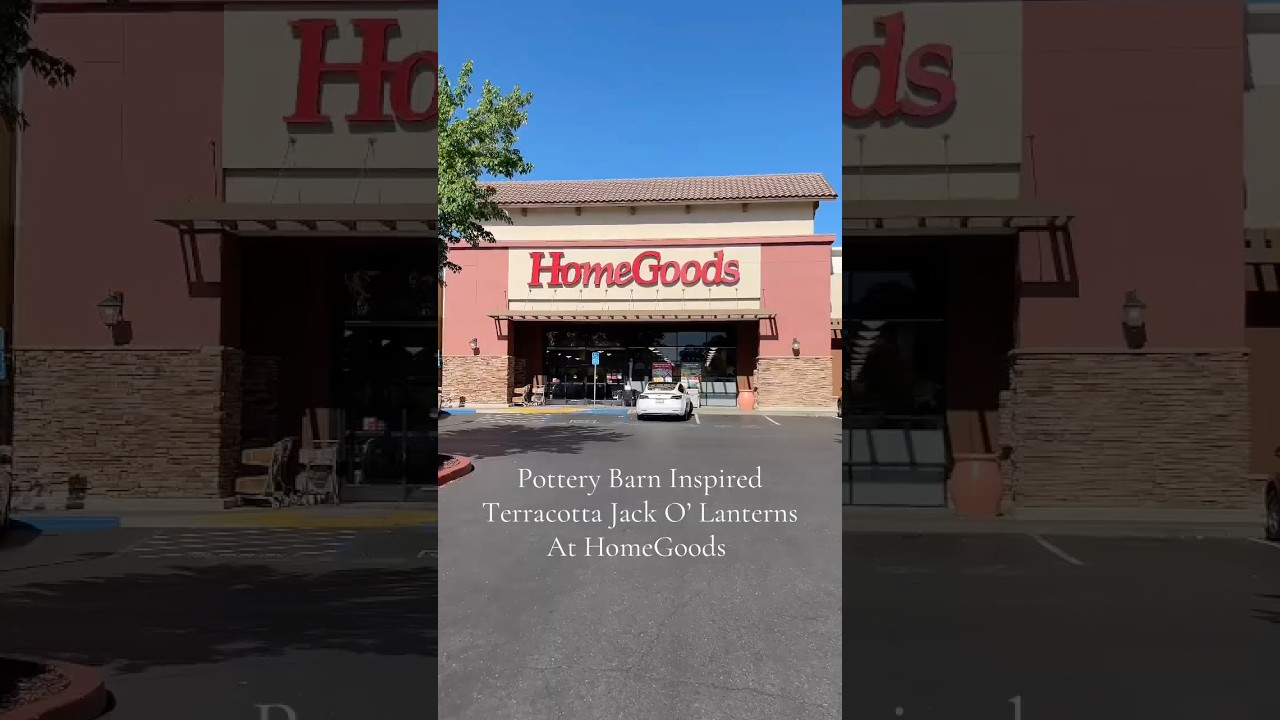 These terracotta pumpkins are giving designer fall — without the price tag 🍁✨