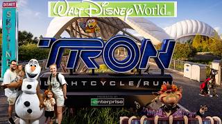 Walt Disney World March 2026 #6: Hollywood Studios & Magic Kingdom