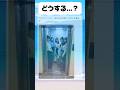 あなたならどうする?#おもしろ #おすすめ #twitter #shorts