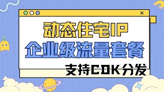 【Cliproxy企业级方案】660刀=1000G住宅IP+CDK批量分发!实测0.66刀GB的羊毛这样薅