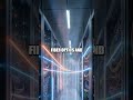 Quantum Threads to Tomorrow's Holographic Networks Reimagined