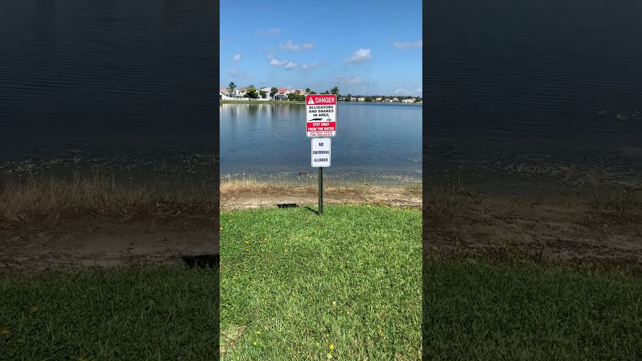 Danger Sign at my Clubhouse: Alligators and Snakes! 