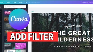How to Add Filter in Canva 2024?