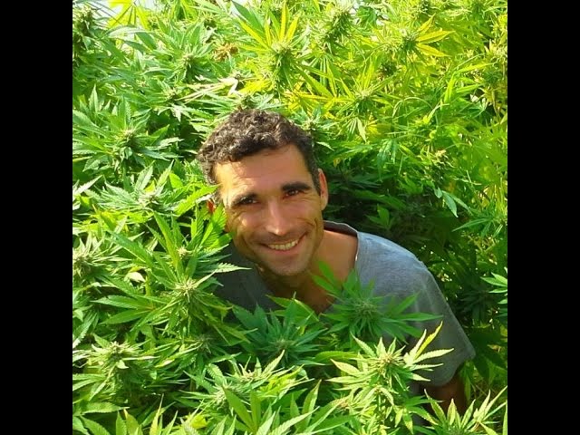 Episode 29: Cannabis Was His Only Effective Treatment for Multiple Sclerosis