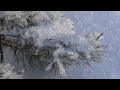 ЗАСНЕЖЕННАЯ НЕЖНОСТЬ.Secret Garden-Lament for a Frozen Flower -