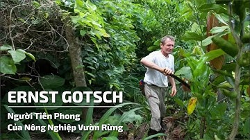 Ernst Gotsch - Người Tiên Phong Của Nông Nghiệp Vườn - Rừng Hay Nông - Lâm Kết Hợp Tại Brazil