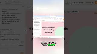 Fast Classroom Review with Curipod | Step-by-Step Guide