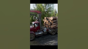 Intercontinental | Transporting the logs | SnowRunner