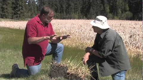 Cumulose-Organic Parent Material