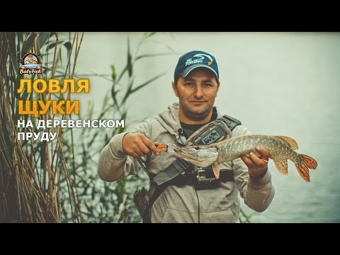 Ловля щуки на деревенском пруду. Видео.