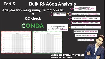 Bulk RNA-Seq Analysis Demystified: Step-by-Step Tutorial Part 5  Adapter Trimming using #trimmomatic