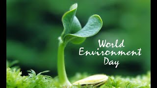 World Environment Day 2020 || Environmental Slogan || CHOWHAN STUDIOS