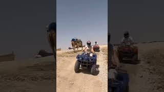 10 days Morocco tour from casablanca... #travelshorts #morocco #moroccotravel #travel