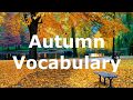 Autumn Activities and Changes Quiz