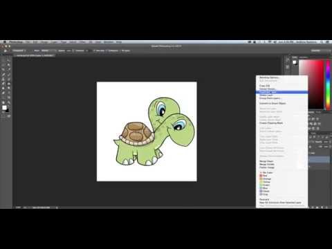 Turtle GIF